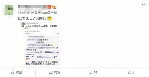 吃瓜群众最新爆料网站大全,吃瓜群众最新爆料网站大全，一网打尽热门资讯！  第3张